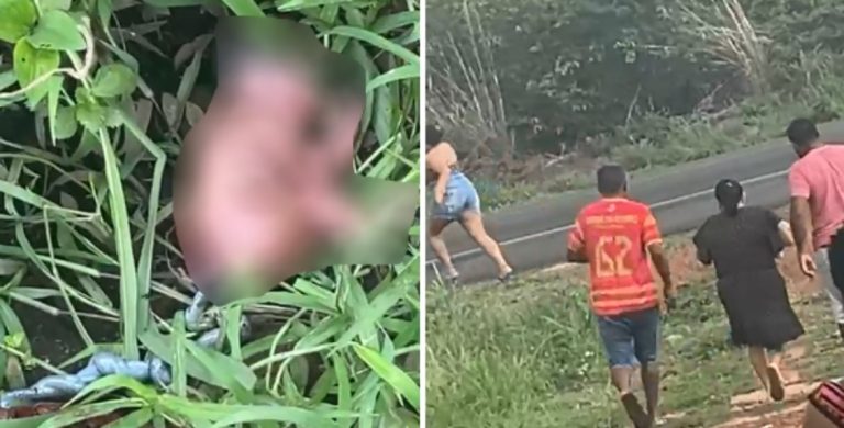 Recém-nascida encontrada em área rural morre em maternidade de Teresina