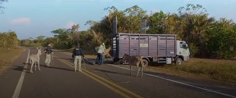 Captura de tela 2025-02-14 125103.png