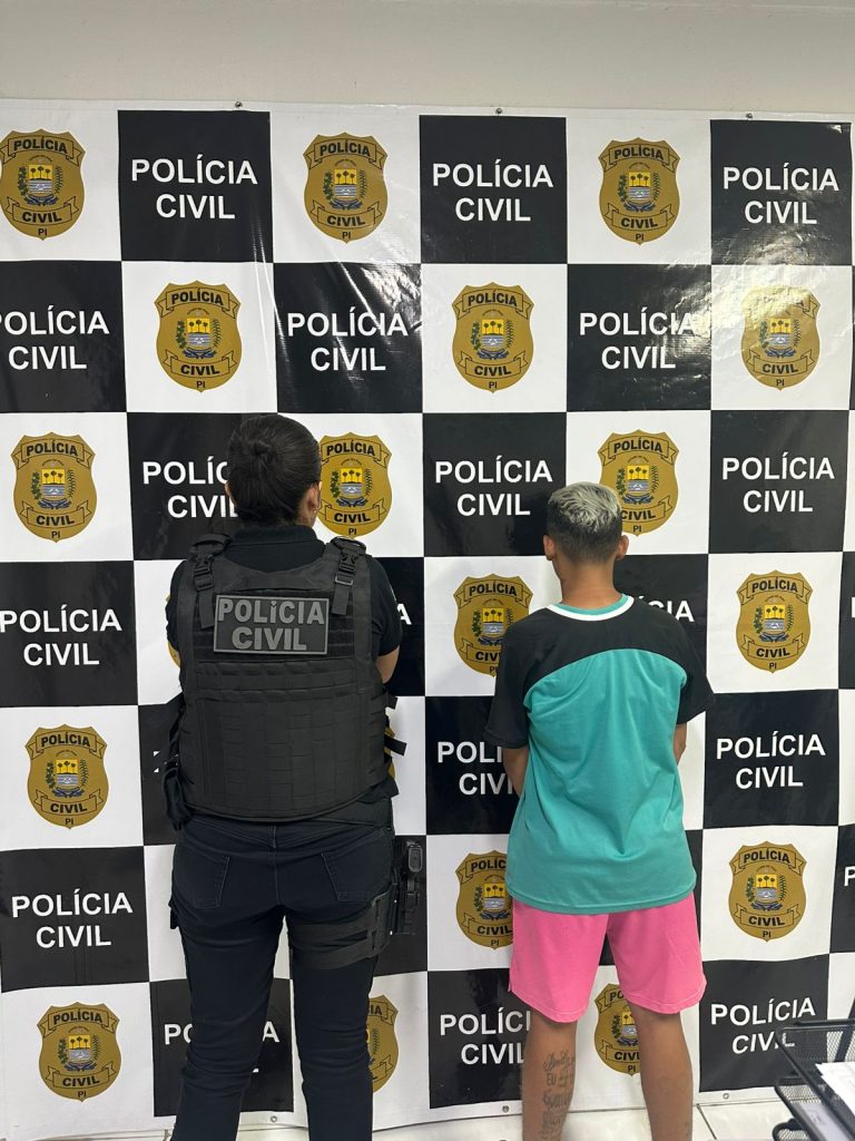 Polícia Civil prende mulher por roubo majorado e organização criminosa na zona sudeste de Teresina