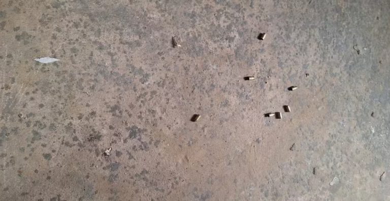 Assassinato em Palmeirais: Polícia apura se homem executado com dez tiros tinha ligação com drogas