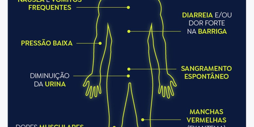 Dengue: SP, MG e PR concentram 73% dos casos e 86% dos óbitos