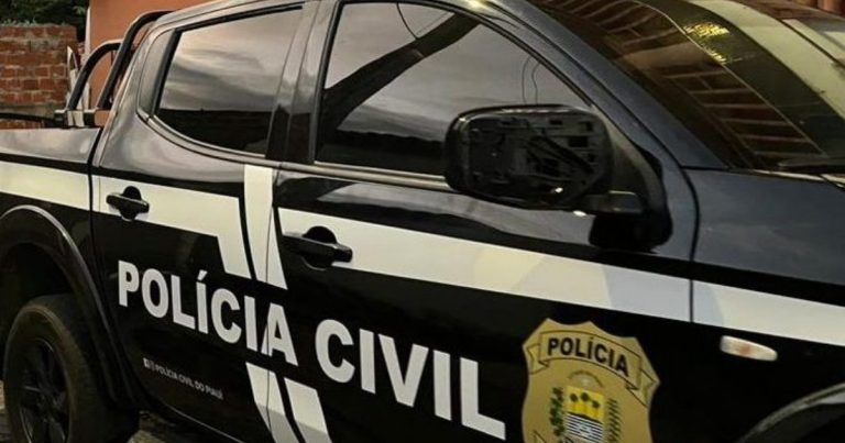 Polícia Civil finaliza “Operação Maria Maria” realizada pela Delegacia de Simplício Mendes