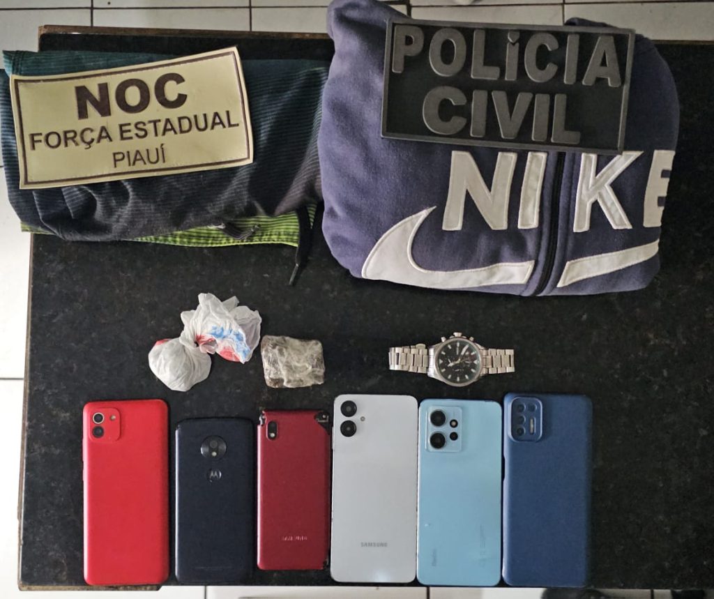 Polícia Civil cumpre mandado e realiza apreensões na zona leste da capital