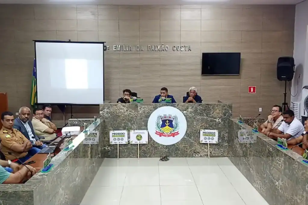 audiência pública sobre incêndios em amarante