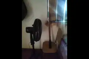 cavadeira utilizada pelo companheiro da mulher assassinada