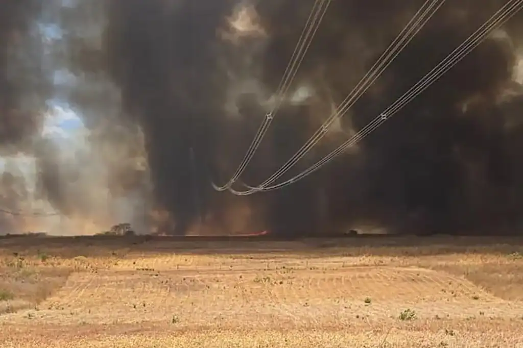 incêndio em canto do buriti brigadistas áreas de produção agrícola