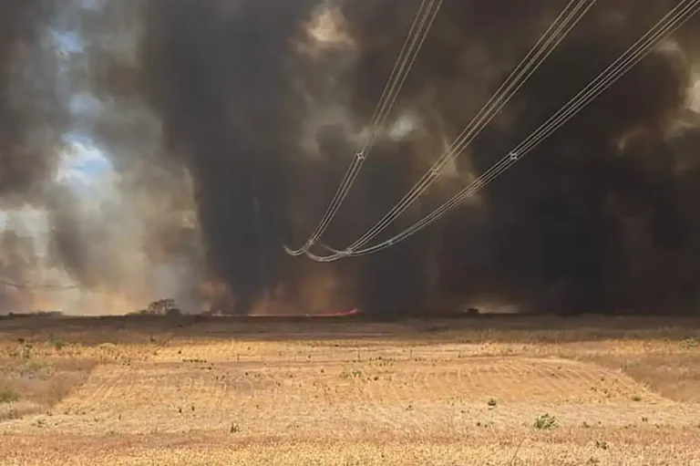 Bombeiros reforçam combate a chamas no Sul do Piauí; brigadistas contêm fogo em Canto do Buriti