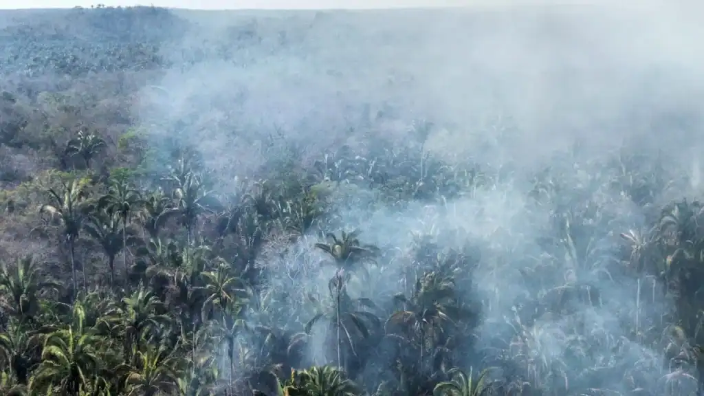 Guarnição contêm incêndio que ameaçava casas no Piquizeiro