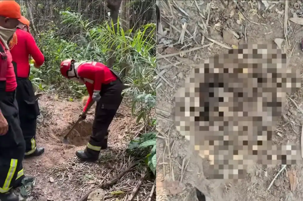 Quatro corpos empilhados área de mata em Itapecuru-Mirim covas rasas