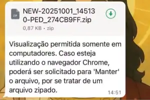 Captura de tela da mensagem falsa usada por criminosos no WhatsApp