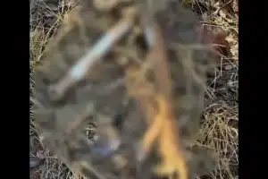 Imagem borrada da vista da estrada rural onde a ossada foi encontrada em Barão de Grajaú.