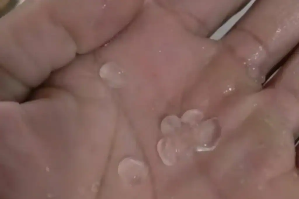 Morador de Arraial segura pedras de granizo na palma da mão, após o temporal no interior do Piauí.