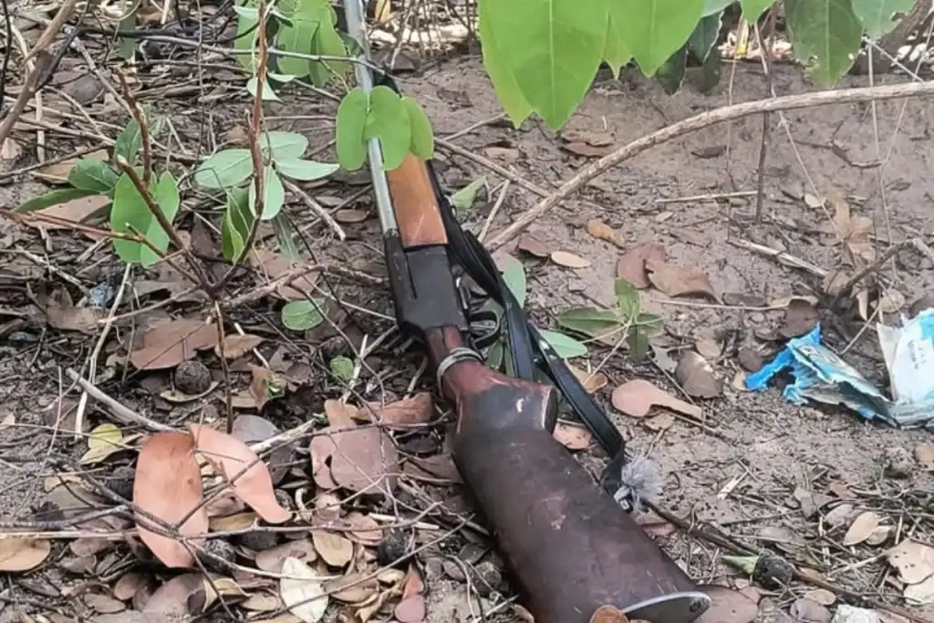 Espingarda e planta de cannabis apreendidas pela Polícia Civil no Povoado Recreio