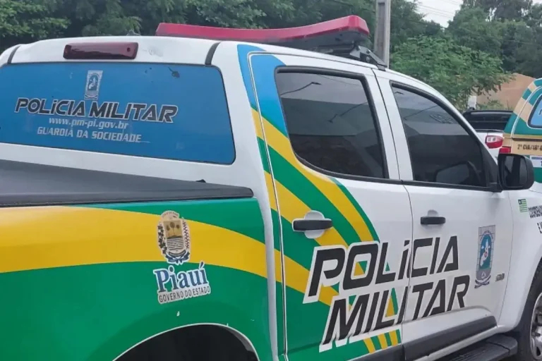 Recém-nascido é encontrado morto em terreno baldio após ataque de porcos em cidade do Piauí