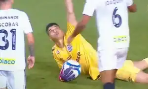 Gabriel Brazão, goleiro do Santos, em negociação com o Flamengo para reforçar a meta.