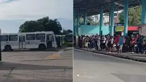 Ônibus do transporte público de São Luís em circulação após o fim da greve de rodoviários