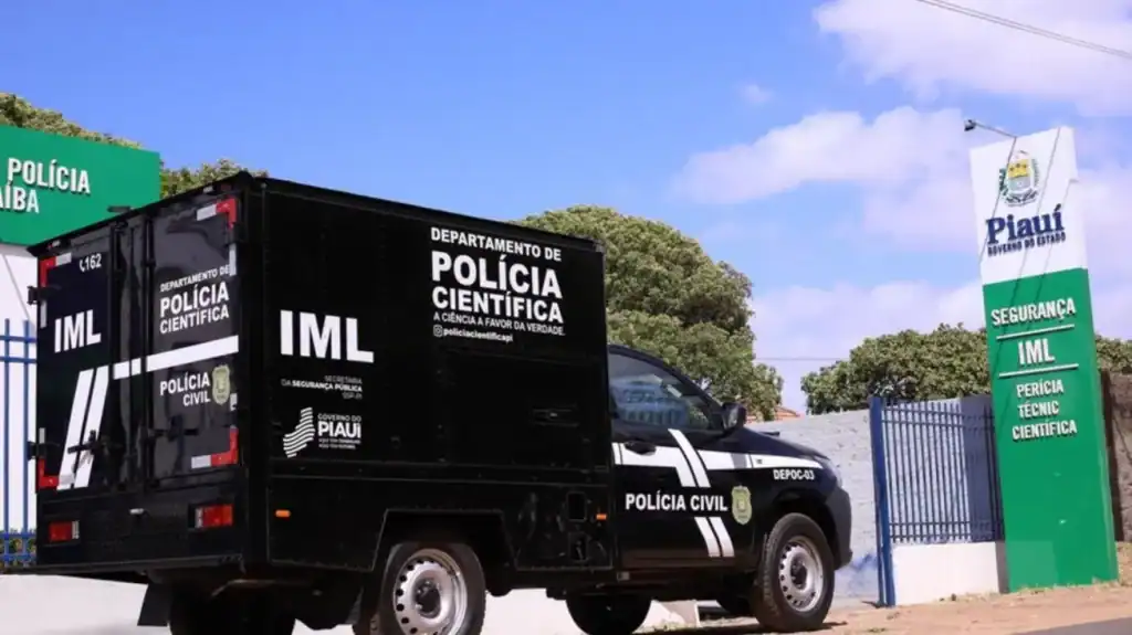 Polícia Civil investiga corpo carbonizado encontrado às margens da PI-112 em Miguel Alves, Piauí.