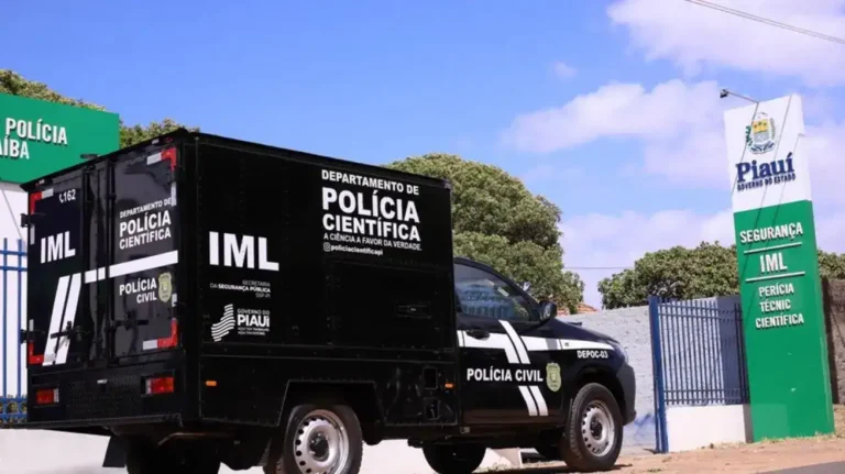 Polícia Civil investiga corpo carbonizado encontrado em Miguel Alves