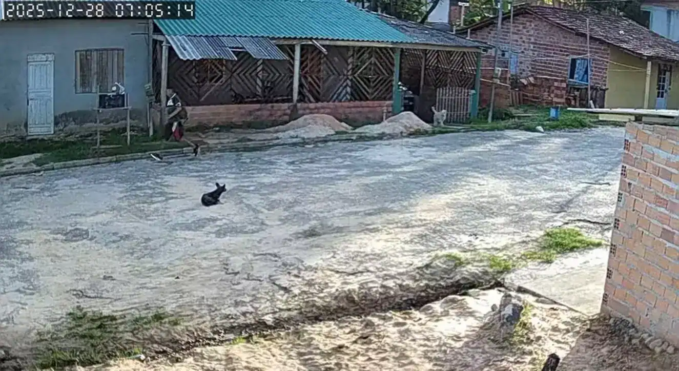 Polícia prende Edson Vales Coelho em Santa Izabel do Pará por tentativa de feminicídio