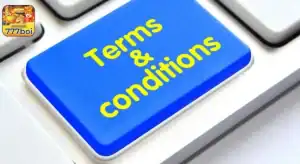 termos de uso de cassinos