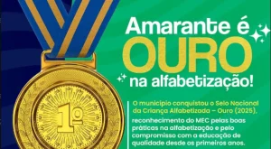 Selo Nacional da Criança Alfabetizada Ouro do MEC, simbolizando a conquista de Amarante, Piauí, em educação infantil.