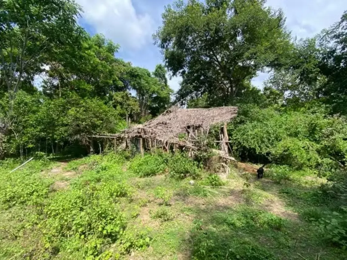 Menino de 8 anos, primo de Ágatha e Allan, acompanhado por policiais e equipe de proteção em área de mata durante buscas por crianças desaparecidas em Bacabal, Maranhão.