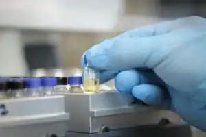 Garrafas de vodca ou destilados com rótulos genéricos, algumas com sinal de alerta ou interdição, representando o risco de contaminação por metanol em Ribeira do Pombal.