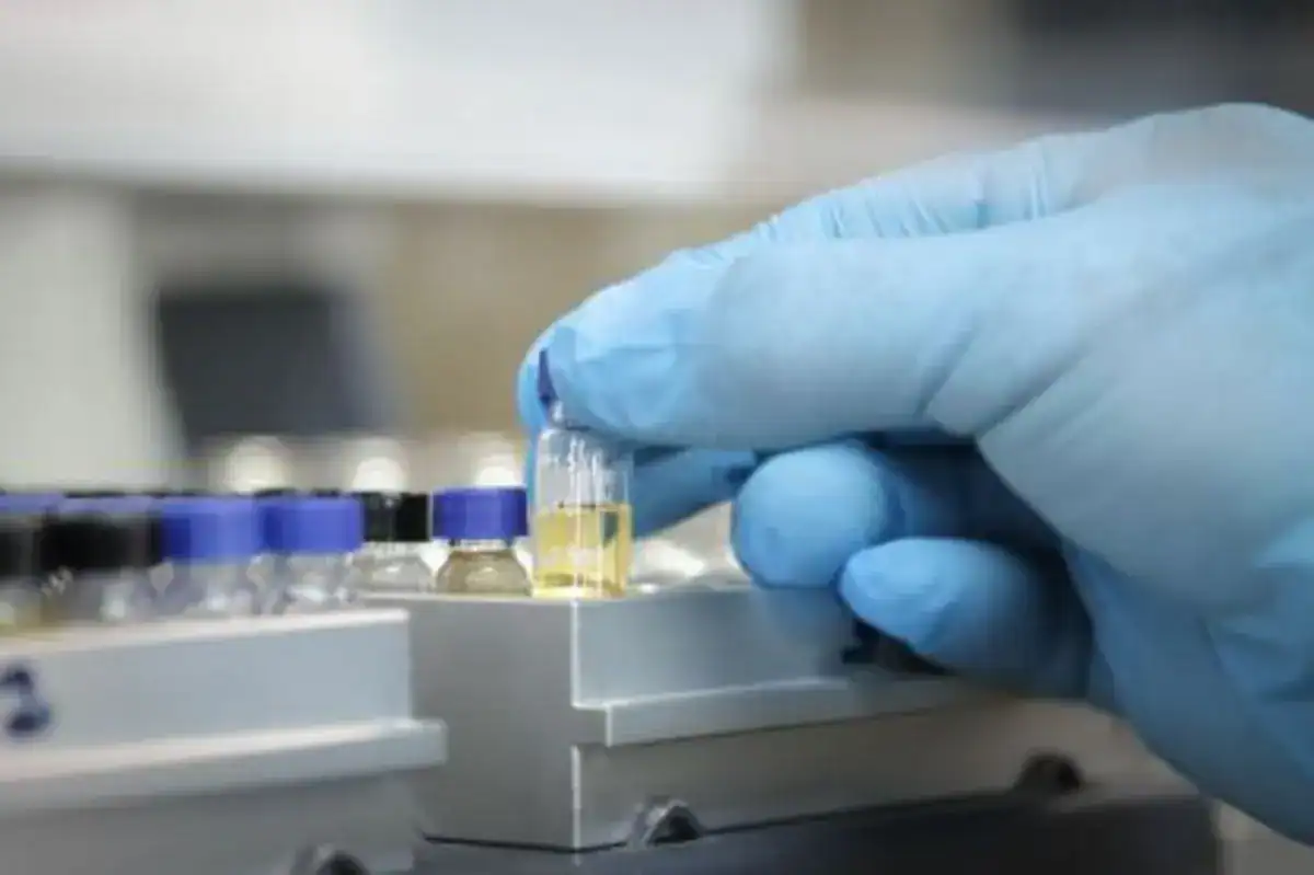 Garrafas de vodca ou destilados com rótulos genéricos, algumas com sinal de alerta ou interdição, representando o risco de contaminação por metanol em Ribeira do Pombal.