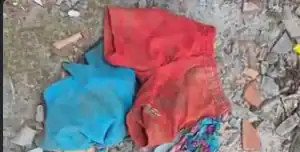 Equipes de busca e voluntários em operação na área de mata em Bacabal, Maranhão, durante procura por crianças desaparecidas.