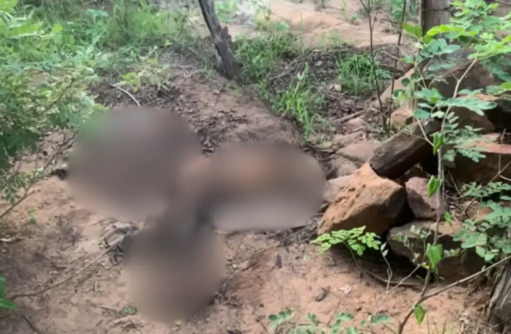Fachada do Instituto Médico Legal (IML) em Teresina, Piauí, para onde corpo encontrado em Picos foi levado.