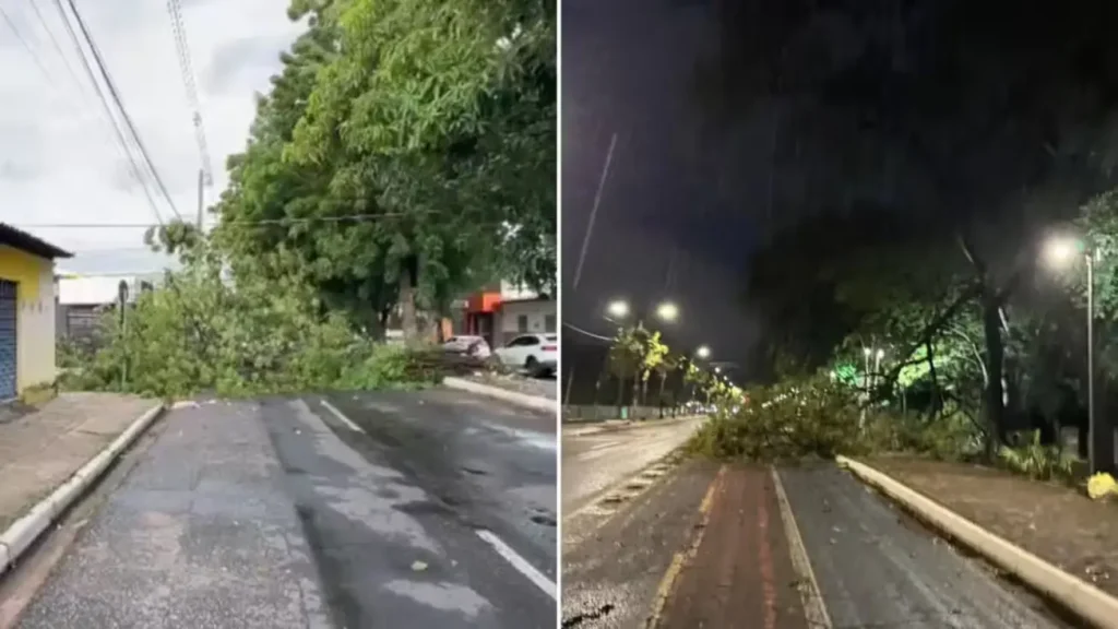 Chuva forte arrasta carro com mulher e derruba árvores em Teresina 4 Bombeiros resgatam veículo arrastado por correnteza em avenida alagada de Teresina