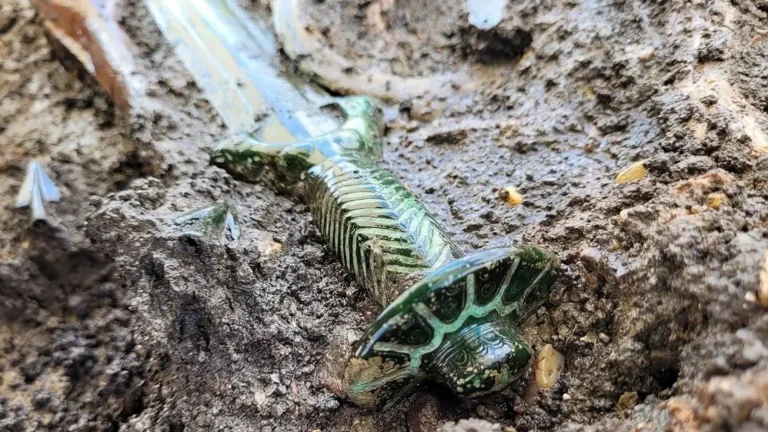 Arqueólogos encontram espada de bronze de 3.400 anos excepcionalmente preservada na Alemanha