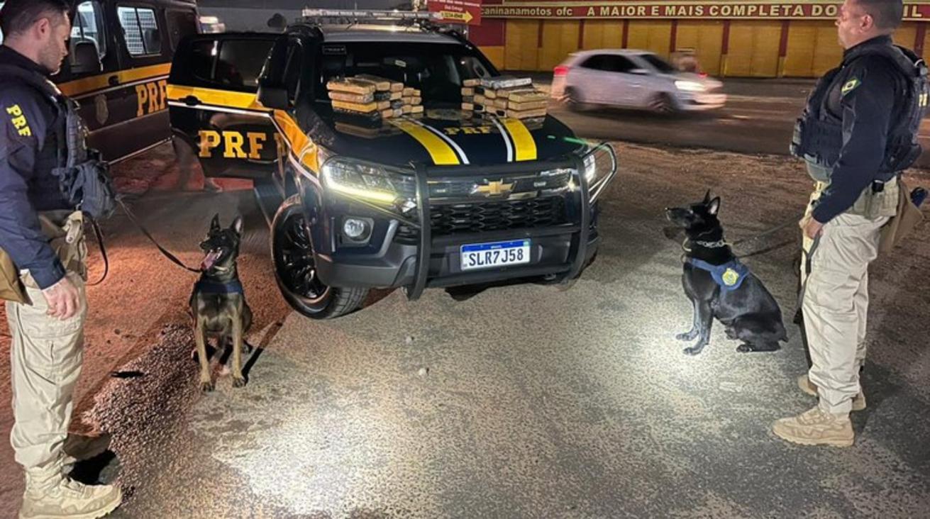 Agentes da PRF e cão farejador ao lado de tabletes de maconha apreendidos em malas dentro de um ônibus.