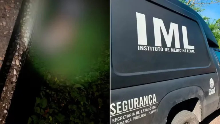 Homem decapitado é encontrado em grota na Zona Sul de Teresina