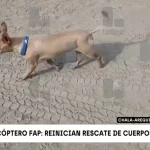 captura de tela 2026 02 24 175116