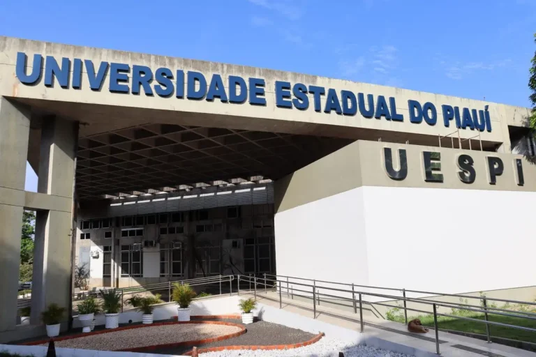 Uespi abre seleção para tutores bolsistas da UAB com remuneração de R$ 1.100