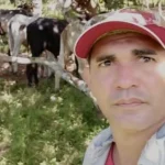 17740993938165150593414233033476