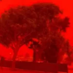 62547 7068910 cover updates