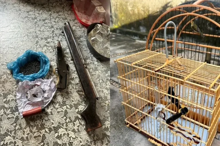 Operação policial cumpre 56 mandados e prende suspeitos de tráfico em Demerval Lobão