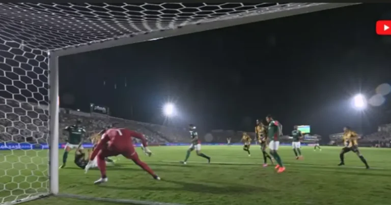 Palmeiras derrota Novorizontino e conquista Paulistão pela 27ª vez