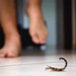 Captura de tela de 2026 03 14 09 44 17