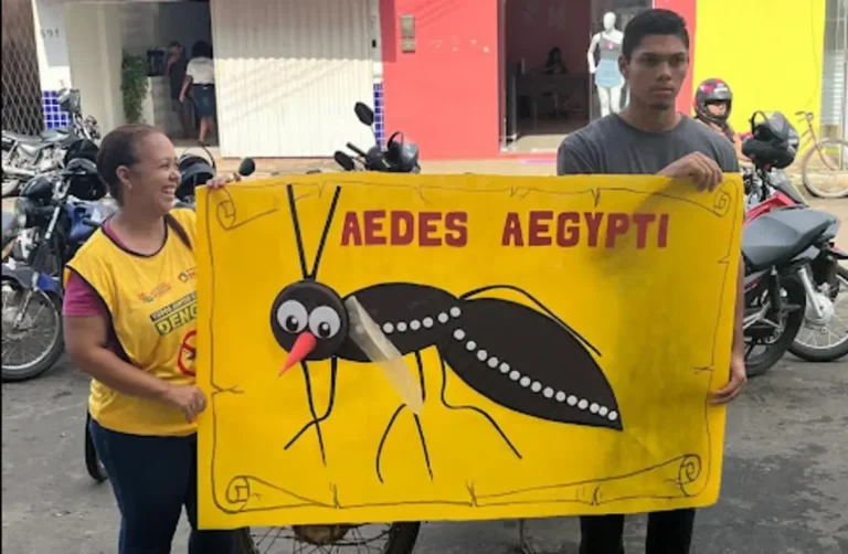Prefeitura de São Francisco do Maranhão realiza ação de conscientização contra a dengue
