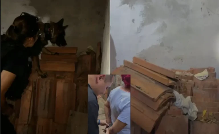 Família é presa em Teresina após cão farejador encontrar drogas escondidas em telhas