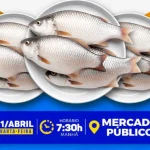 Captura de tela de 2026 03 31 08 11 00