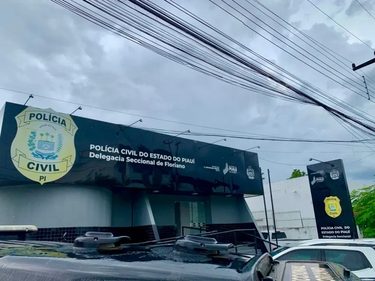 Polícia Civil de Floriano divulga balanço da Operação Figurinha Repetida