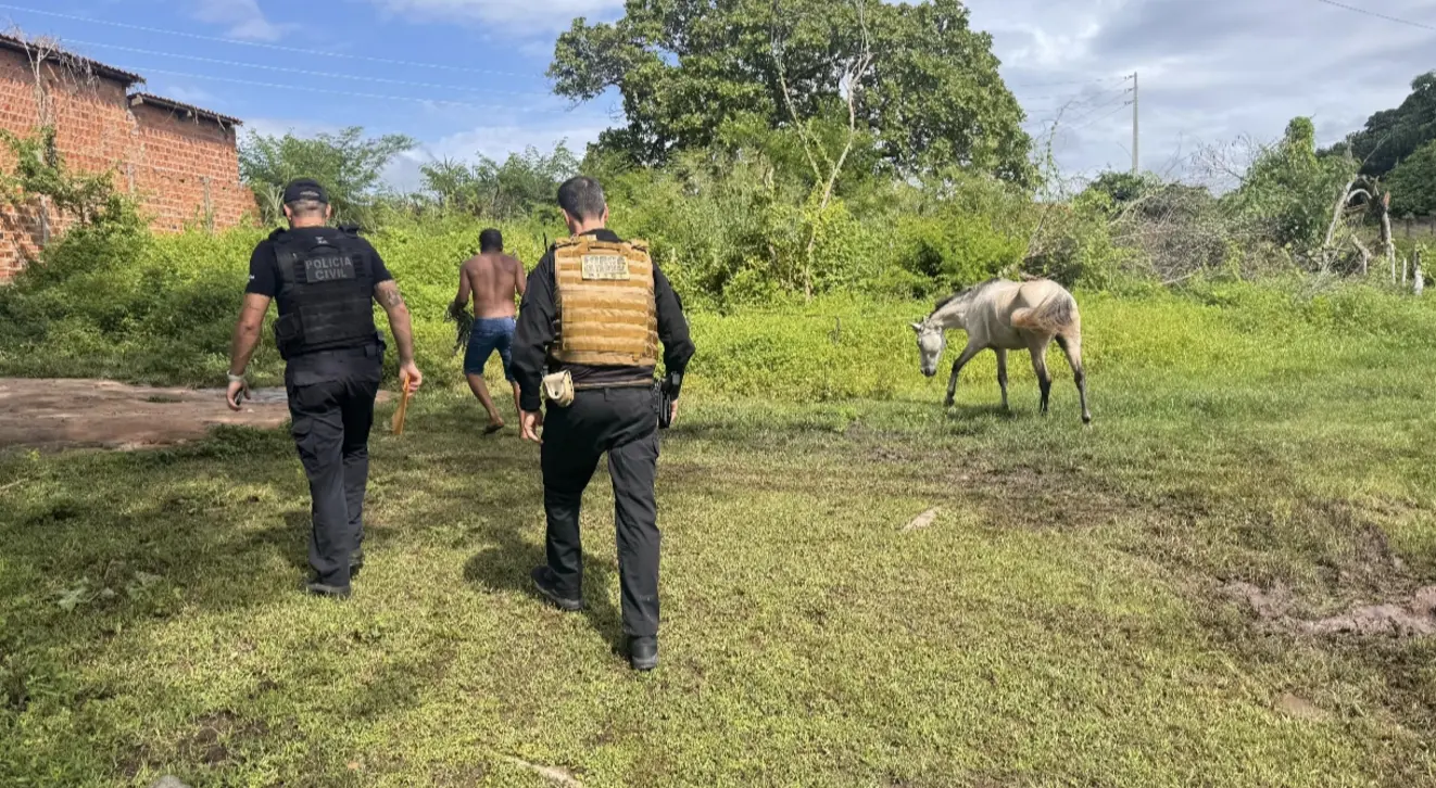 Policiais da SSP-PI em ação da Operação Porteira Fechada contra animais soltos em vias públicas de Floriano, Piauí.