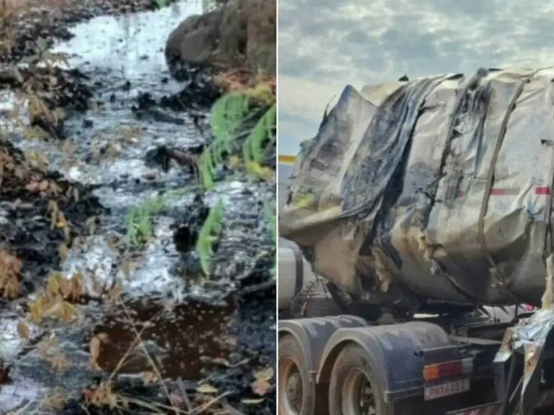 MODELO CAPA NOVO 2026 ATUALIZADO 97 1 768x576 1