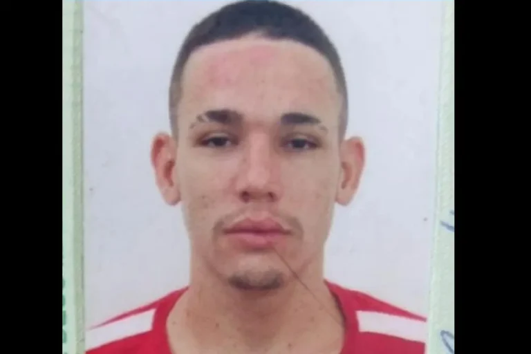 Jovem morre após colidir com boi solto em rodovia entre Barras e Batalha