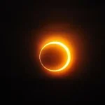 elke 2026 03 24t100319 356