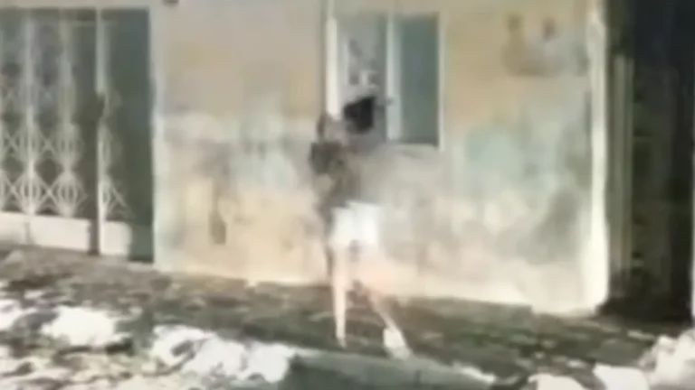 Jovem sequestrada com bebê no colo em Alagoas é encontrada morta em Ouro Branco